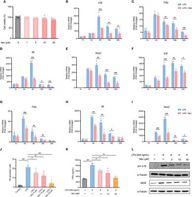 Norbergenin prevents LPS-induced inflammatory responses in macrophages through inhibiting NFκB, MAPK and STAT3 activation and blocking metabolic reprogramming